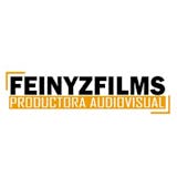 Logotipo de Feinyzfilms