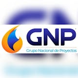 Logotipo de Grupo Nacional de Proyectos