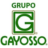 Logotipo de Grupo Gayosso SA de CV