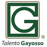 Logotipo de Gayosso