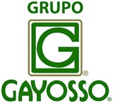 Logotipo de Gayosso