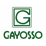 Logotipo de Gayosso