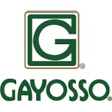 Logotipo de Gayosso
