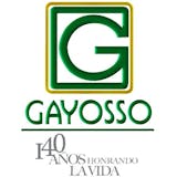 Logotipo de Grupo Gayosso