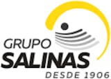 Logotipo de Grupo Salinas
