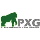 Logotipo de Partner Executive Group Colombia
