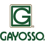 Logotipo de Grupo Gayosso