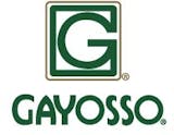 Logotipo de Gsc Gayosso Servicios Corporativos SA de CV